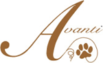 AVANTI cigars