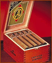 BLACKSTONE TIPPED cigars