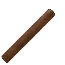 Maduro Robusto