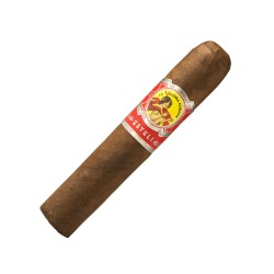 Robusto