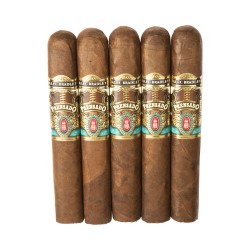 Robusto 5-Pack