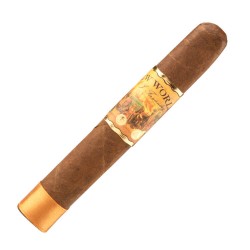 Robusto