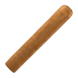 Connecticut Robusto