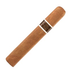 Perdomo Reserve R
