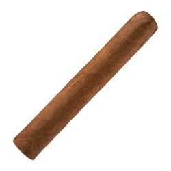 Robusto