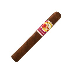 Robusto