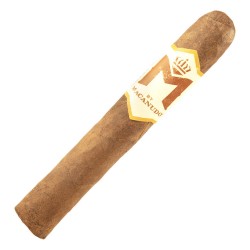 Robusto