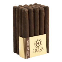 Lot SOM Short Churchill