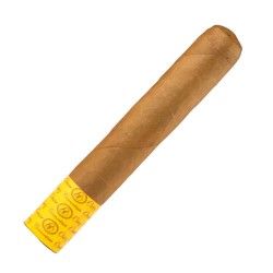Robusto