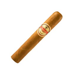 Robusto