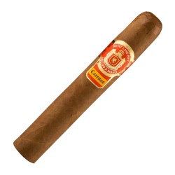 Robusto