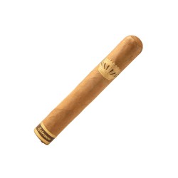 Robusto 2019