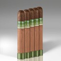 Eileen's Dream Robusto