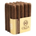 Lot M Double Toro