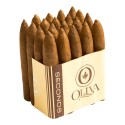 Lot SG Belicoso